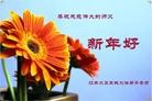 Published on 12/30/2015 ���ֹ�,����ҵ�󷨵��ӹ�ףʦ���������(28��)
