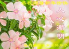 Published on 12/30/2015 ���ֹ�,����ҵ�󷨵��ӹ�ףʦ���������(31��)
