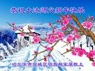 ֹ,󷨵ӹףʦ(20)
