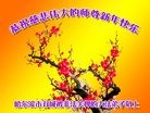 ֹ,󷨵ӹףʦ(20)
