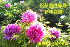 ֹ,󷨵ӹףʦ(22)
