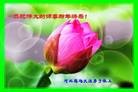 ֹ,ӱ󷨵ӹףʦ(22)
