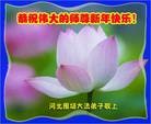 ֹ,ӱ󷨵ӹףʦ(22)
