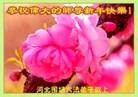法轮功,河北大法弟子恭祝师尊新年快乐(22条)
