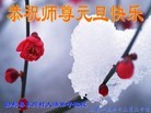 ֹ,󷨵ӹףʦ(20)
