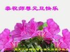 ֹ,󷨵ӹףʦ(20)
