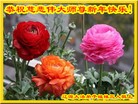 ֹ,ʡ󷨵ӹףʦ(23)
