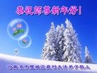 Published on 12/31/2015 ���ֹ�,��½�󷨵��ӹ�ףʦ���������(34��)
