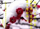 ֹ,󷨵ӹףʦ(22)
