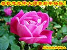 ֹ,ʡ󷨵ӹףʦ(23)
