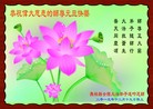 法轮功,石家庄大法弟子恭祝师尊新年快乐(28条)
