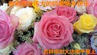 ֹ,󷨵ӹףʦ(22)
