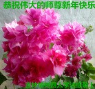 ֹ,󷨵ӹףʦ(22)
