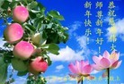 ֹ,󷨵ӹףʦ(20)
