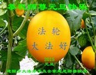 ֹ,ľ˹󷨵ӹףʦ(23)
