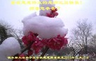ֹ,ľ˹󷨵ӹףʦ(23)
