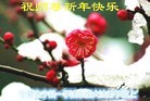 Published on 12/31/2015 ���ֹ�,��½�󷨵��ӹ�ףʦ���������(41��)
