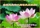 Published on 12/29/2015 ���ֹ�,����ҵ�󷨵��ӹ�ףʦ�������(34��)
