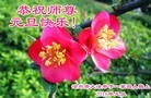ֹ,ӱ󷨵ӹףʦ(21)
