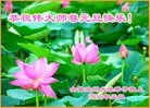 ֹ,ӱ󷨵ӹףʦ(21)
