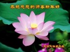 ֹ,󷨵ӹףʦ(26)

