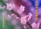 ֹ,󷨵ӹףʦ(26)

