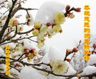 ֹ,󷨵ӹףʦ(26)
