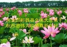 ֹ,ӱ󷨵ӹףʦ(21)
