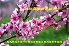 ֹ,󷨵ӹףʦ(26)
