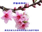 ֹ,󷨵ӹףʦ(26)

