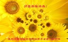 法轮功,黑龙江大法弟子恭祝师尊新年快乐(26条)
