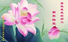 ֹ,󷨵ӹףʦ(25)
