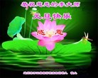 Published on 12/29/2015 ���ֹ�,��½���ڹ�ף���־��ʦ�����(23��)
