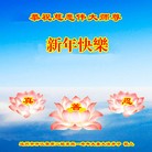 Published on 12/29/2015 ���ֹ�,����ҵ�󷨵��ӹ�ףʦ�������(34��)
