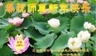 ֹ,󷨵ӹףʦ(21)
