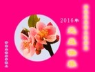 ֹ,󷨵ӹףʦ(26)
