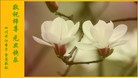 ֹ,Ĵ󷨵ӹףʦ(25)
