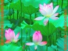 ֹ,ʯׯ󷨵ӹףʦ(28)

