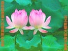 ֹ,ʯׯ󷨵ӹףʦ(28)
