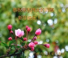 Published on 12/29/2015 ���ֹ�,��½�󷨵��ӹ�ףʦ���������(35��)
