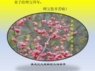 ֹ,󷨵ӹףʦ(20)
