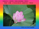 Published on 1/1/2016 ���ֹ�,��½���ڹ�ף��ʦ������� ����������
