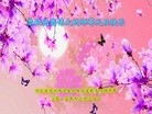 ֹ,ӱ󷨵ӹףʦ(22)
