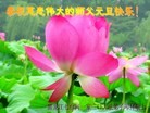 ֹ,󷨵ӹףʦ(20)
