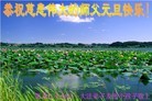 ֹ,󷨵ӹףʦ(20)
