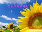 法轮功,广东大法弟子恭祝师尊新年快乐(28条)
