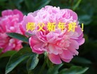Published on 12/29/2015 ���ֹ�,��½�󷨵��ӹ�ףʦ���������(35��)
