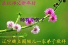 Published on 12/29/2015 ���ֹ�,��½�󷨵��ӹ�ףʦ���������(27��)
