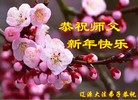 Published on 12/31/2015 ���ֹ�,��½�󷨵��ӹ�ףʦ���������(32��)
