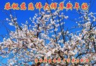 Published on 12/31/2015 ���ֹ�,��½�󷨵��ӹ�ףʦ���������(32��)
